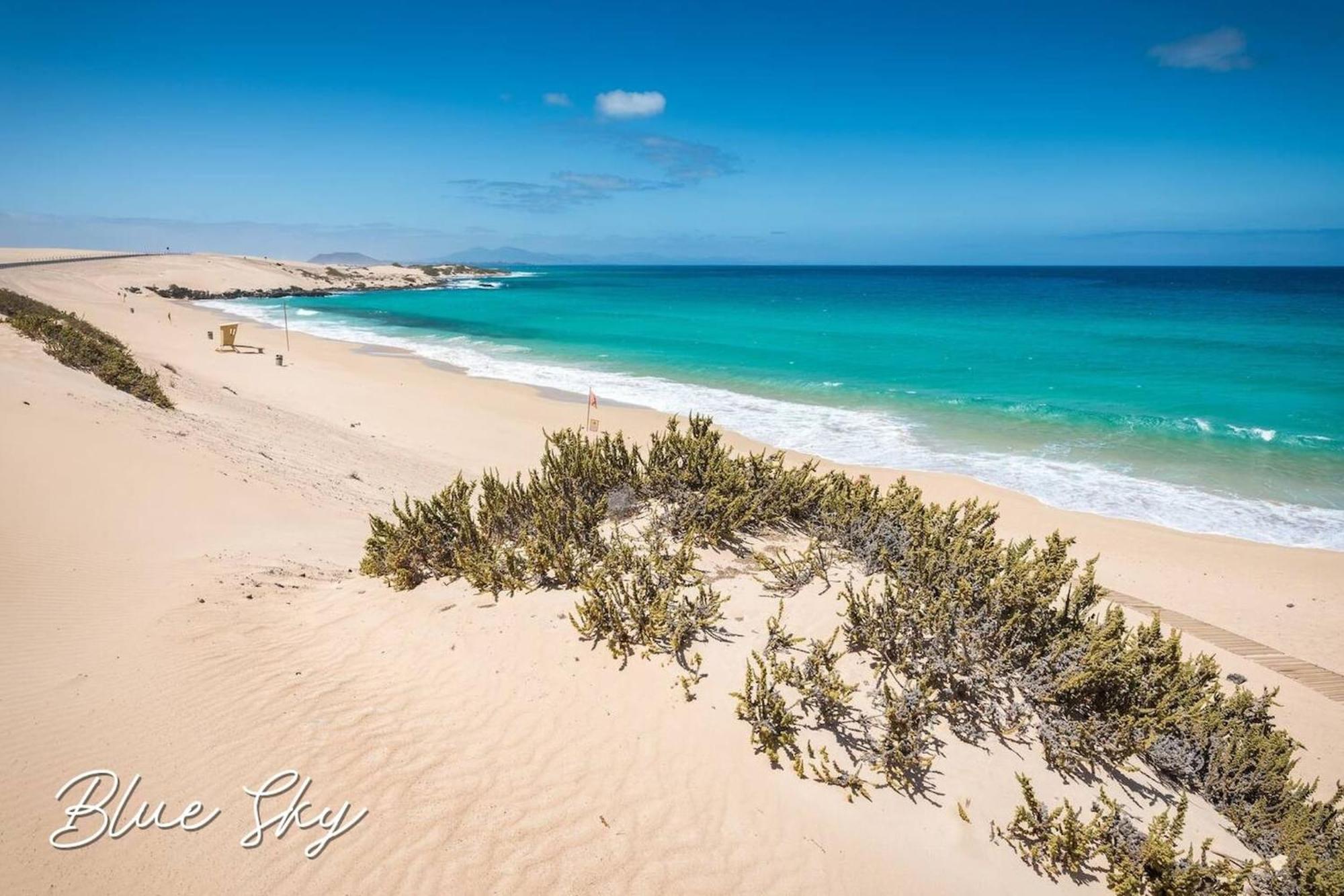 Corralejo Sun 335 Blue Sky By Rentalfue Exterior foto